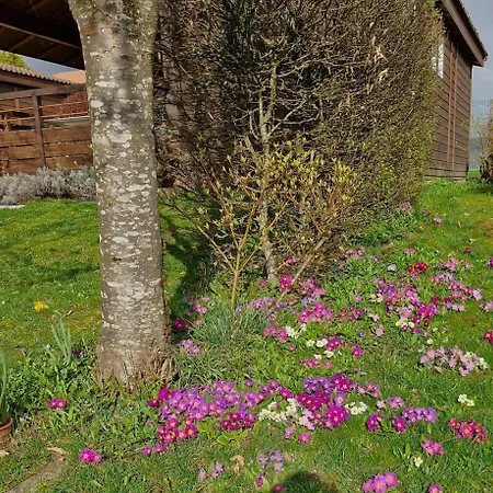 Jonquille 1 Σαλέ *